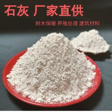 树木保暖用石灰粉 加气砖原料 PH调节氧化钙 厂家现货