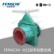 FENGCHI/ ѡרùܼз