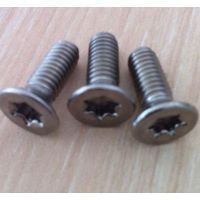 浙江高品质紧固件 非标螺钉 沉头内梅花螺丝 非标螺丝定做