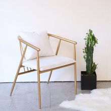 家用铁艺镂空单人餐厅椅网红椅休闲靠背椅定制(厂家直销)