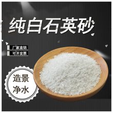 广东 白色石英砂颗粒40-80-100目超细石英粉灭烟沙缸水处理过滤 建筑用