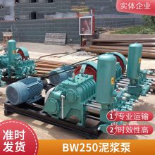 BW250ཬ 250͸ѹˮע ʽʽ