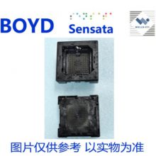 FBGA256-027C BOYD/SENSATA/TI/QINEX FBGA-256-1.0-21.0X21.0