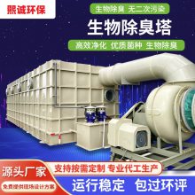 氨气吸收塔 除臭处理塔 PP生物滤池化工厂排污定制各类污水处理设备