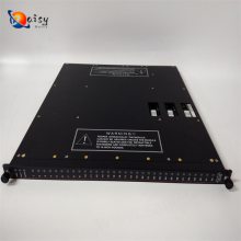 TRICONEXģDI6503