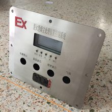 不锈钢防爆仪表箱 定制非标防爆仪表箱 防爆表箱 中石油防爆箱