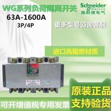 ԭװʩ͵߸ɸ뿪WG-200/3P WG-200/4P 