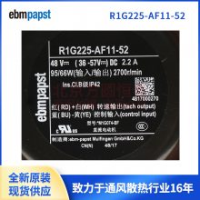 R1G225-AF11-21  R1G225-AF11-52 ¹ebmpapstֱ