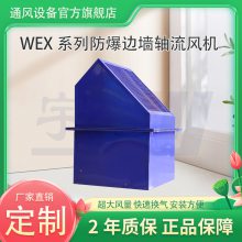 防爆型边墙排风机 安装便捷 工厂车间低噪声边墙式排风设备 可定制