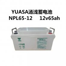 ǳNP65-12Ǧά 12V65AH ֱUPS/EPSԴר