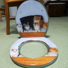 Ͱӡ PVCͰǰӡ Ͱӡ