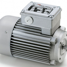 MinimotorٵPAE260M2T