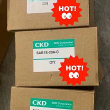 CKD APK11-20A-C4A-AC220V ԭװ