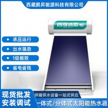 嘉黎县 四季沐歌太阳能热水器分体式热水器 供暖供水设备 支持定制
