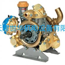 bertoliniKA4215