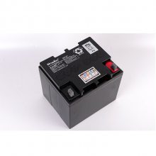 ѶNETIONNP-XA1212CH 12V12AH ʱ