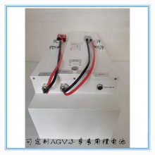 ﮵EV24-4024V-40AH AGV˳ ƽ⳵ǣ