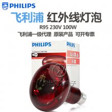 PHILIPSֺ***R95Eݺ濾100W 