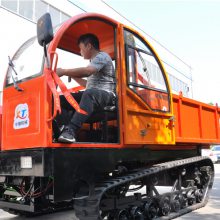 8Ĵ䳵