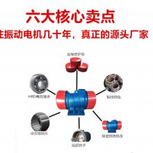 ZDPάʵ̨ SZFֱɸ XUM񶯵YZS-5-2񶯵綯ͭо߷ʽֵ