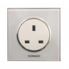 ϺSONGRI ײ ֻ 250V16A10A