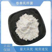 卷曲乳杆菌100亿cfu/g 冻干型乳酸菌 益生菌活性菌粉 多活性