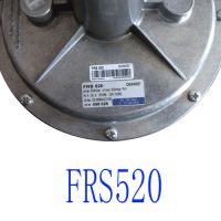 ˹ DUNGS ѹ FRS520