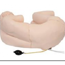 �Ϻ���ֳϵ�y(t��ng)ģ���ļҺ� �Ϻ�����������Ƽ�����(y��ng)