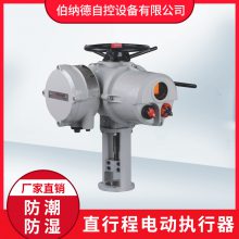 调节型直行程非侵入式IQ18+VE64/1600FNP智能型电动执行器