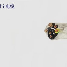 ܵ 4G2.521.5mm2 0.6/1KV ʴ ȼ ȶ