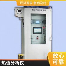 正压防爆机柜防爆型抽取式气体分析仪WX-3000Ex 连续输出监测数据