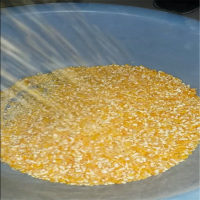 普航牌粮仓苞米脱皮打碴机 河北玉米场制糁机 多用途制糁机价格