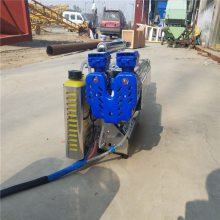 浙江便携式烟雾机 果园远喷弥雾机 小型打药机