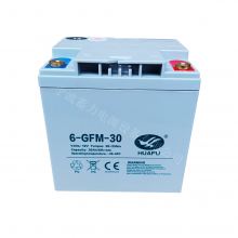 中力大金刚蓄电池6GFM30托盘搬运车电瓶