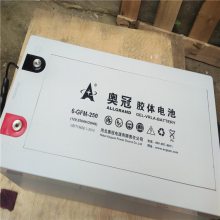 ALLGRAND 6-GFMJ-70 ¹ڽ12V70AH UPS EPSԴ̫