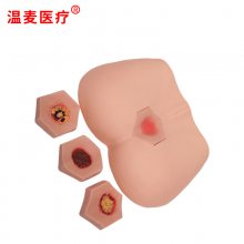 ҽ ׶촯ģ Ͻѧѵ ѹģ ҽѧģģ