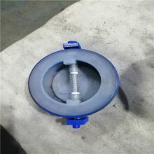 ķֹط H76F46-16C DN300 ֳPTFE˫ֹط