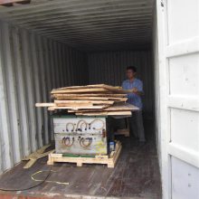 豸ڱ