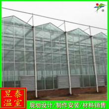昱泰 纹络玻璃智能连栋温室 育苗种植大棚 YTWSWL2030
