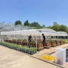 花卉市场搭建移动阳光雨棚 膜结构雨蓬 伸缩电动蓬款式