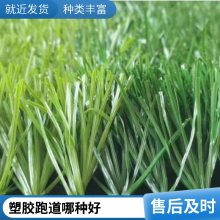 硅pu塑胶篮球场景观休闲人工草坪13mm厚混合型塑胶跑道