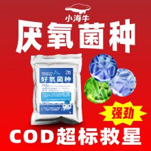 ΢***ˮ ڽCODֽֽܵ׾һ廯ˮ
