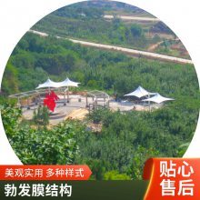 电瓶车摩托车棚子白色拉膜结构造型多建造快找-勃发膜
