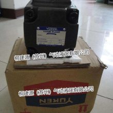 ̨YUKENҶƬPV2R2-53-F-RAA-40ԭװֻ