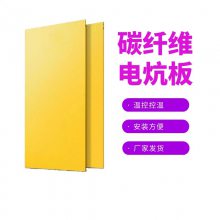 暖烨 供应新款煤改电炕板 温控电热炕板 榻榻米电热炕