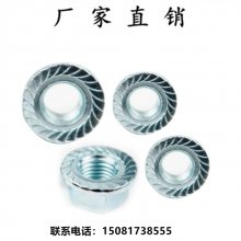 领富现货碳钢六角法兰螺母防滑法兰母镀锌锁紧螺母 自带垫螺母