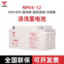 ǳǦ YUASA NP65-12 12V65AH UPSάupsԴ