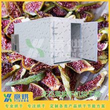 意烘无花果烘干机 箱式空气能除湿水果烘干房设备 YH-B15