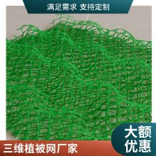 世杰三维固土网垫 黑色绿色植草护坡三 维植被网 绿化效果好