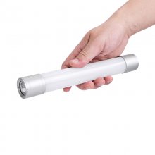 SW2180LED